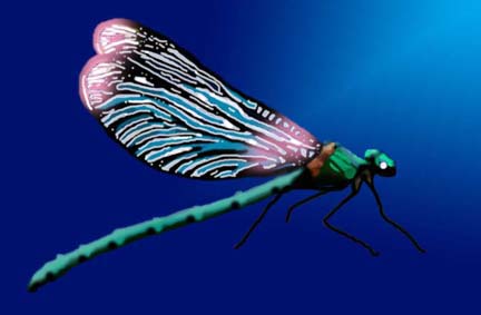 Digital illustration of Dragonfly